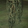 Second Metal Self Portait - Legs