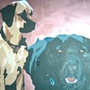Shiloh & Dakota - SOLD