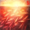 Swimming towards the sun / Nadando hacia el sol