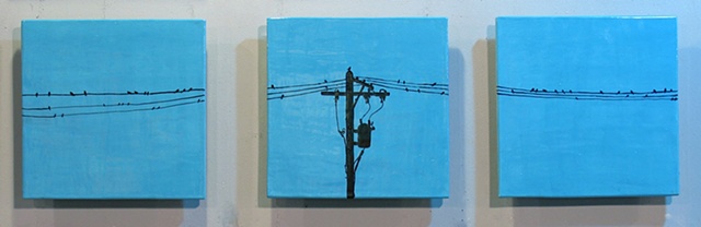 Birds on the Wire
