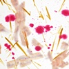 'BLOSSOM' PAINTINGS