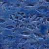 Fish - blue glaze -12"sq.