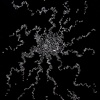 Burst
