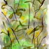 SOLD - Dappled