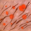 SOLD - Silt