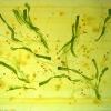 SOLD - Corn Song