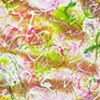 Listening to Bougainvillea II - Detail