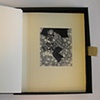 Lithium Book View #3