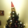 Merry