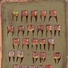 Tooth painting  24