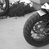  EL PESCADO NEGRO MOTO