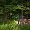 The Woodsman
