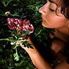 Rose Garden
