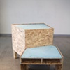 Raccoon Bench