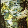 Memories from aBirch tree
