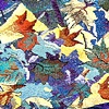 Autumm Trails