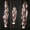 Oakville Tapestry Studio