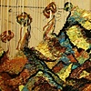 Maple Bark starting point