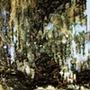 The image