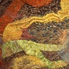 Details of the feathers