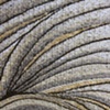 Detail from the materials and texture