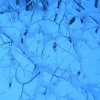 Winter 2