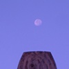 Moon on top of Gael Morin wood installation. He paired with Denise Coker. Really great couple!