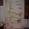 Beneath my skin. Tapestry in progress