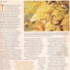 Fall issue article 08