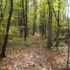 moments in nature