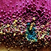 Hidden Textures