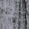 snow projects