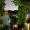 Project: Firefly Phase IV: Release of Fireflies back into Nature