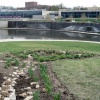 Rain Garden Project