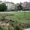Rain Garden Project