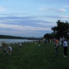 Project: Firefly Phase II: Catching Fireflies