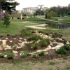 Rain Garden Project