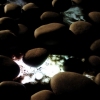 Binary Phenomena