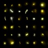 Project: Firefly