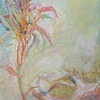Bromeliad / Shell