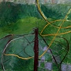 Earleton Woods Series