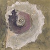 Broken Whelk, II