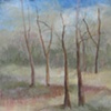 In & Out / Prairie Creek Preserve