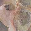 Broken Whelk, V