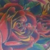 Sugar Skull, Roses and Wings Backpiece