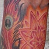 mandalas + peacock feathers + eye = awesome tattoo