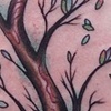 Traditionalish tree