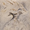 Ghost Series I