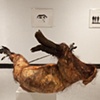 Memory of Flight III (back installation view) 