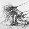 Memory & Desire (Works on Paper)